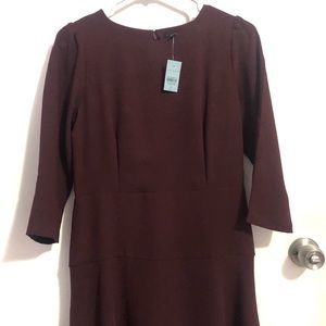 NWT Ann Taylor Long Sleeve Dress